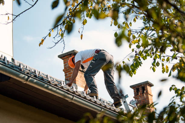 Quick and Trustworthy Emergency Roof Repair Services in Hamilton, GA