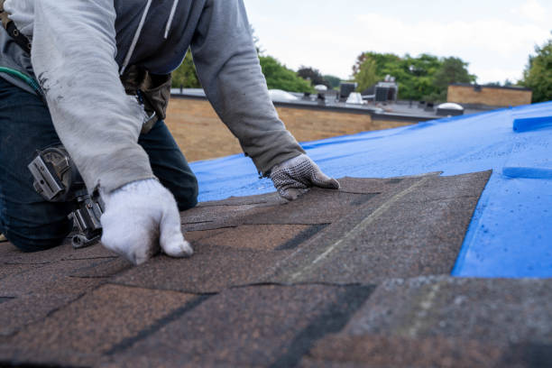 Best Roofing Contractor Near Me  in Hamilton, GA