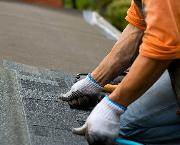 Best Roof Restoration Services  in Hamilton, GA