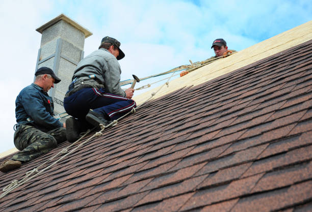 Best Roof Waterproofing Services  in Hamilton, GA