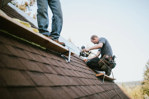 Best Roof Leak Repair  in Hamilton, GA